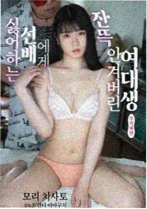 研究员 博士